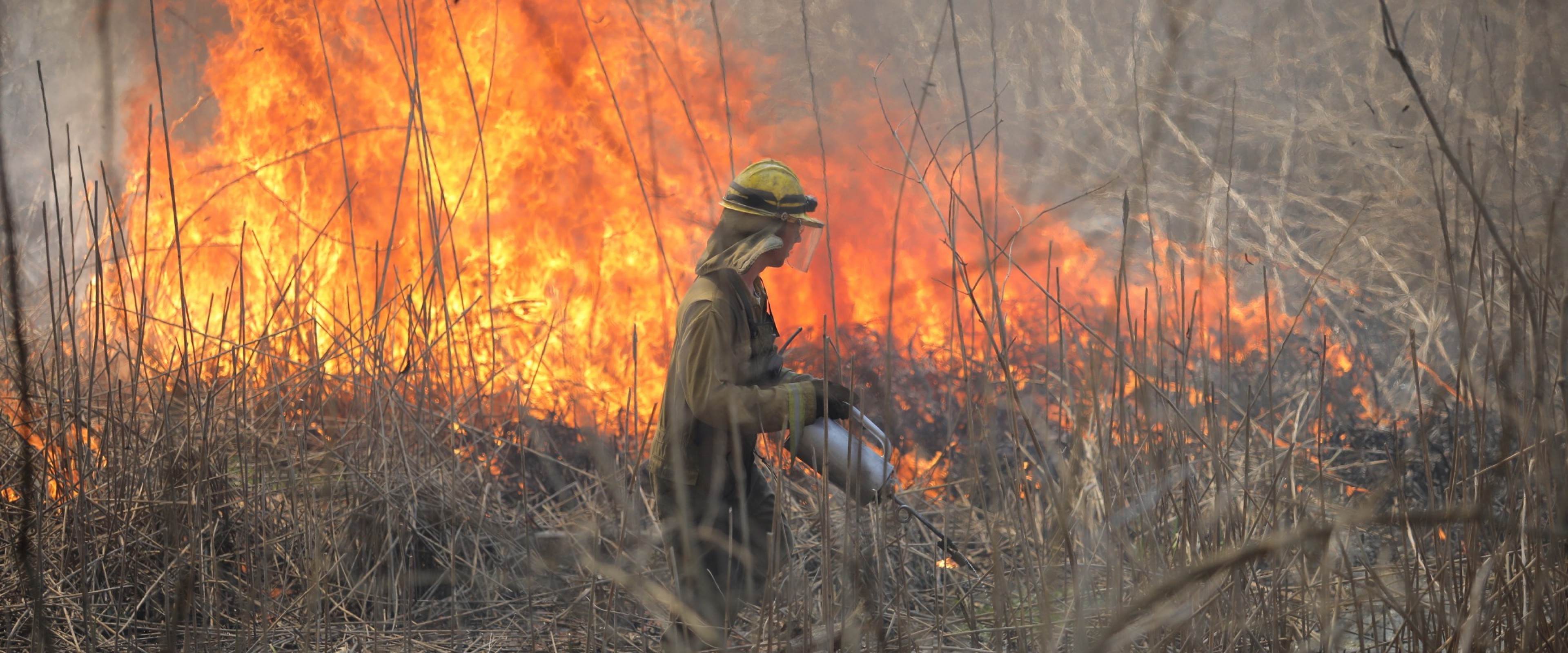 A person putting out a large brush fire