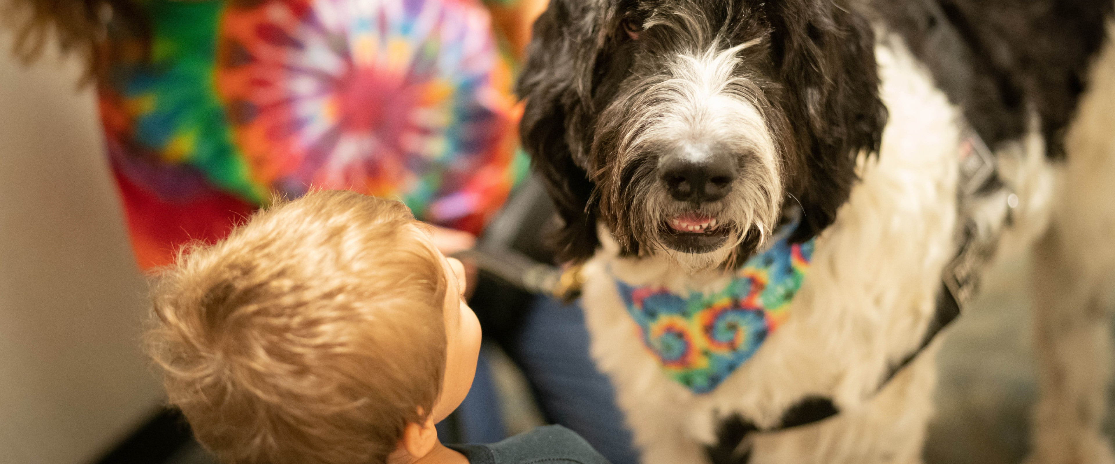 Child with therapy dog