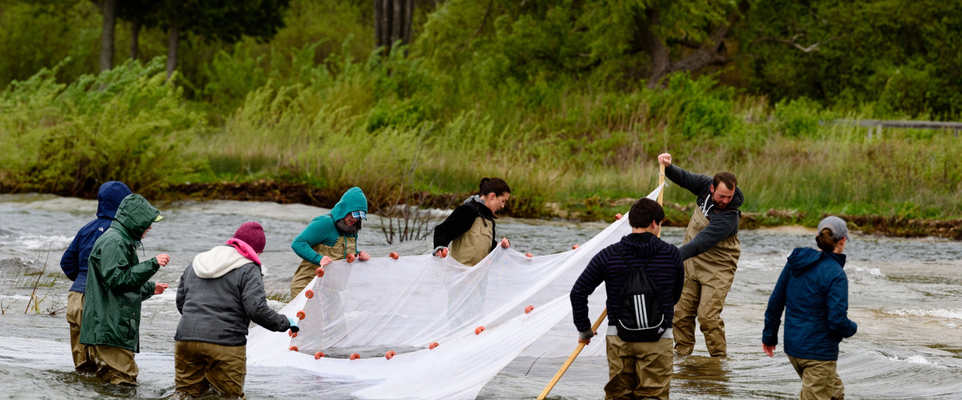 Students in a river hoisting up a trawl