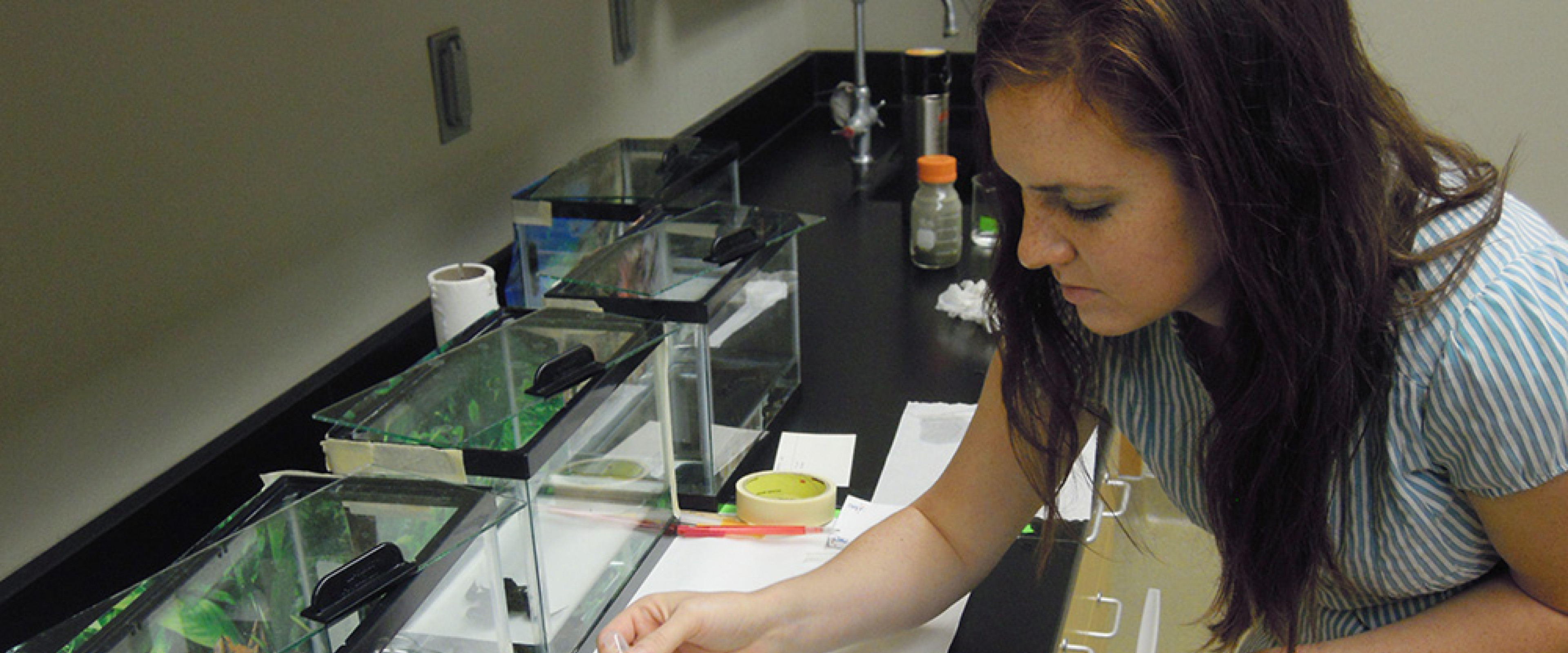 student feedinb tadpolesin the lab