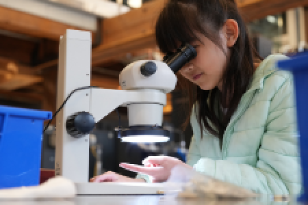 Young girl looking through microscope