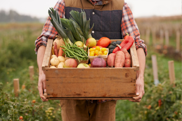 White male wearing a plaid shirt and vest in a garden holding a wooden box of vegetables from the Garden