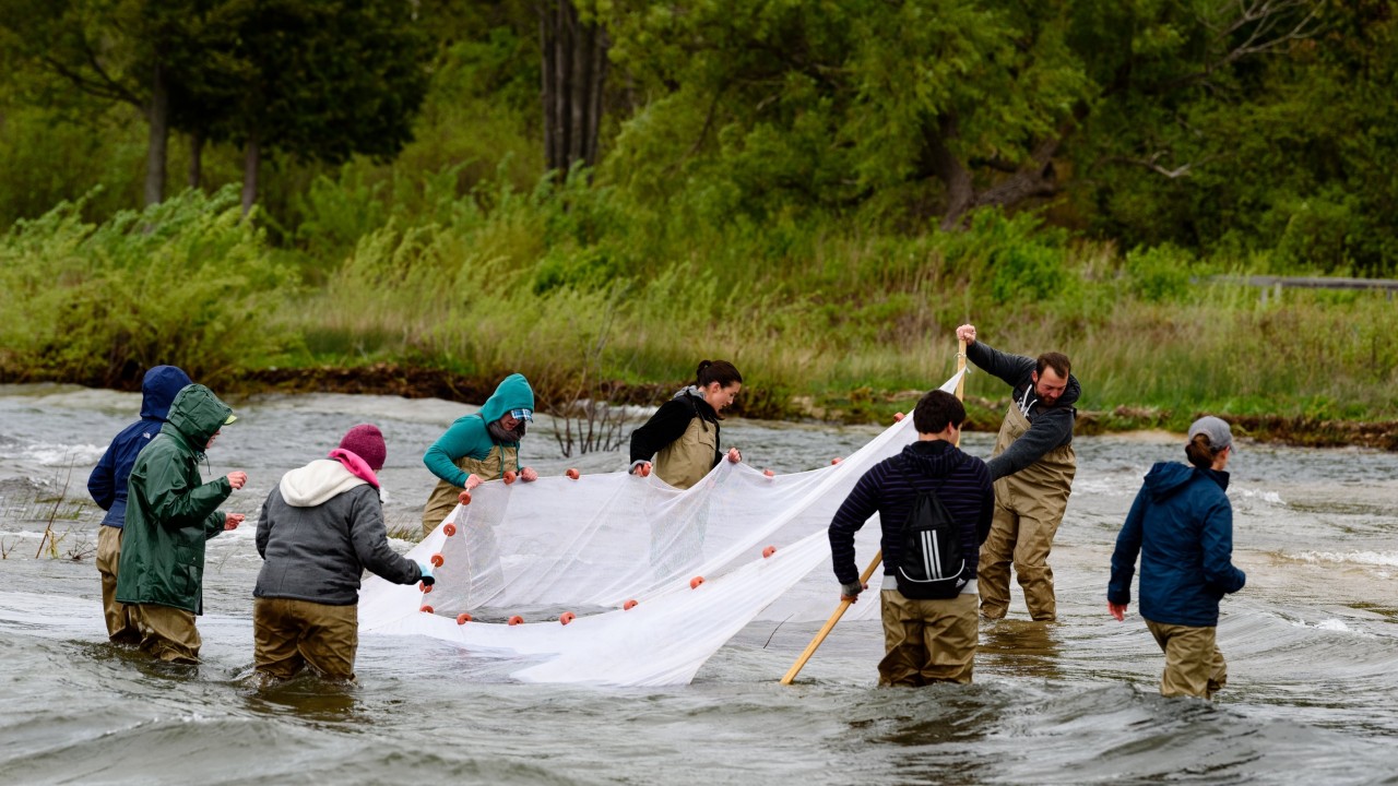 Students in a river hoisting up a trawl