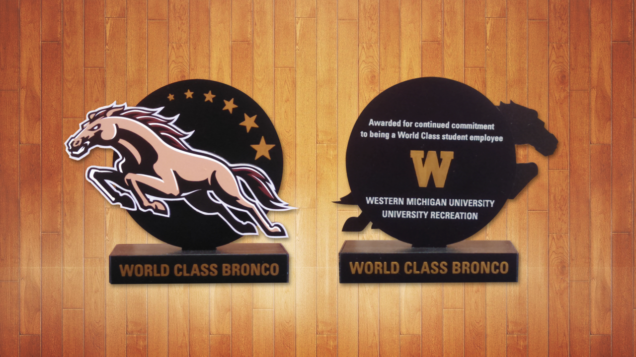 Image of what the World Class Bronco award looks like