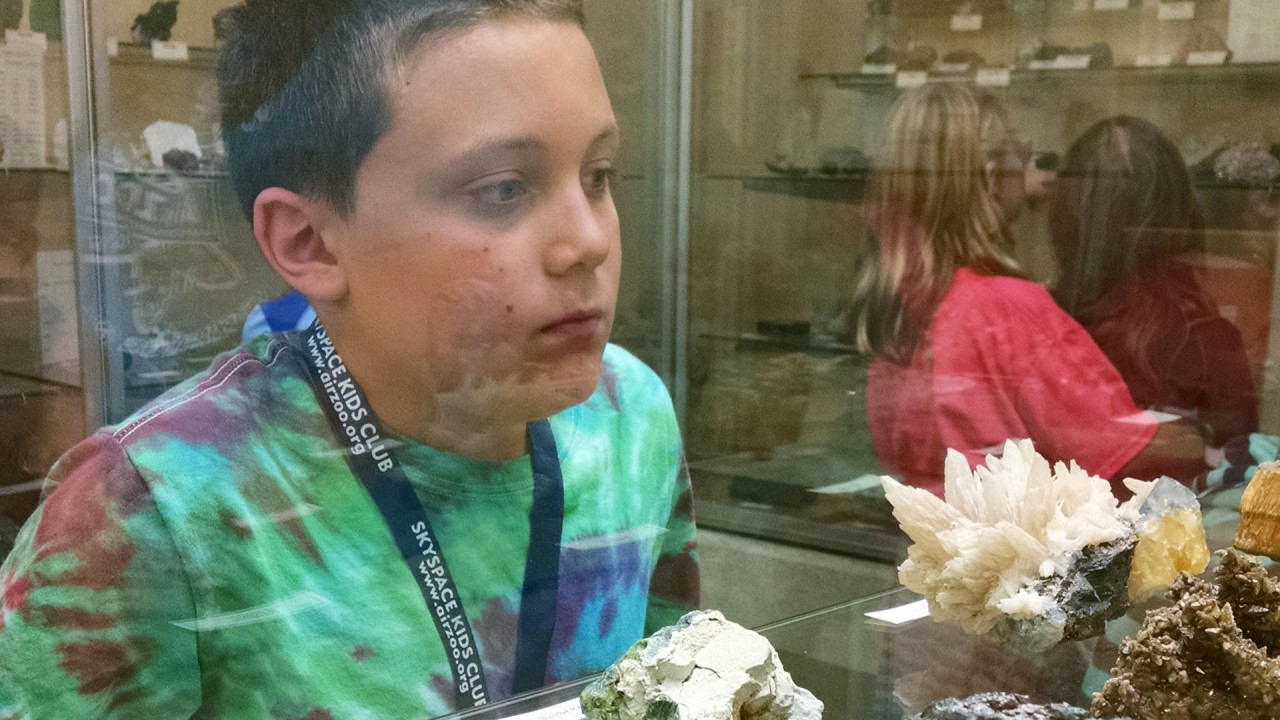 A child looks at minerals in the museum