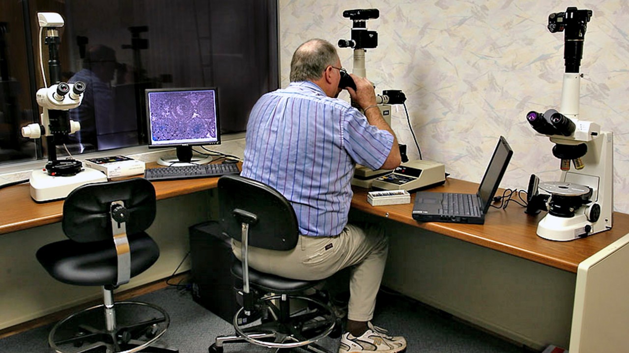 MGRRE director examines specimen under microscope