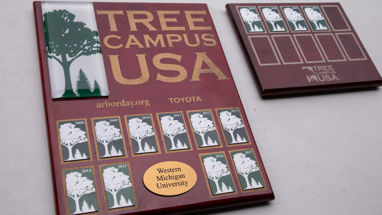 Plaque reading "Tree Campus USA" that has tree logos with years ranging rom 2008 through 2022.