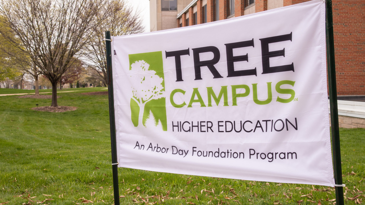 Banner staked in the lawn area with trees and a brick building in the background. The banner says "Tree Campus Higher Education, An Arbor Day Foundation Program."