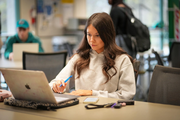 Female student working on computer