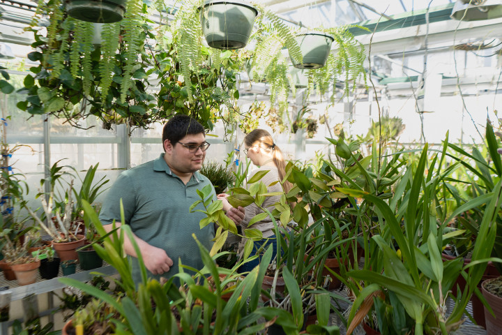 Student Jacob Soule tends to plants in Finch Greenhouse.