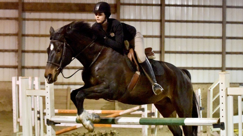 Photo of WMU Equestrian Team member riding a horse.
