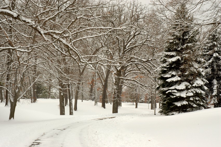 Photo of snowy day on campus.