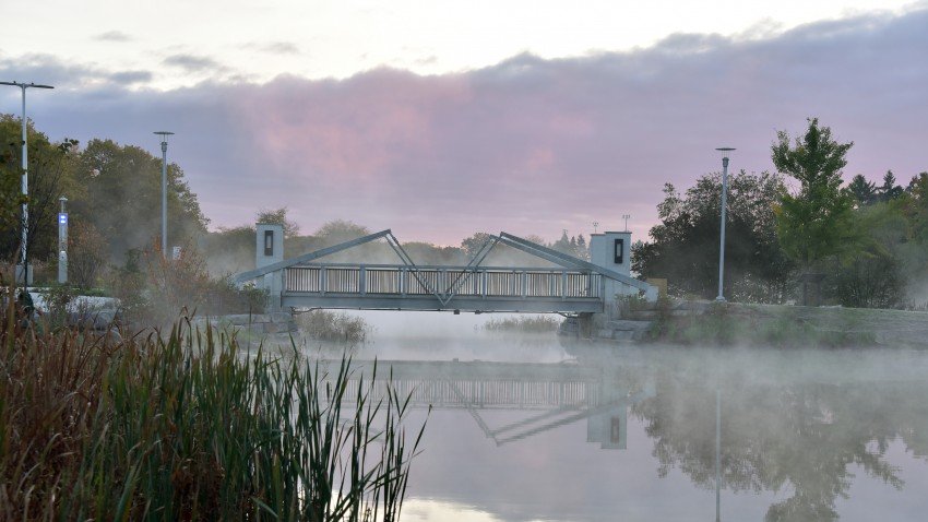 View of the bridge over Goldsworth Pond on a foggy autumn morning.