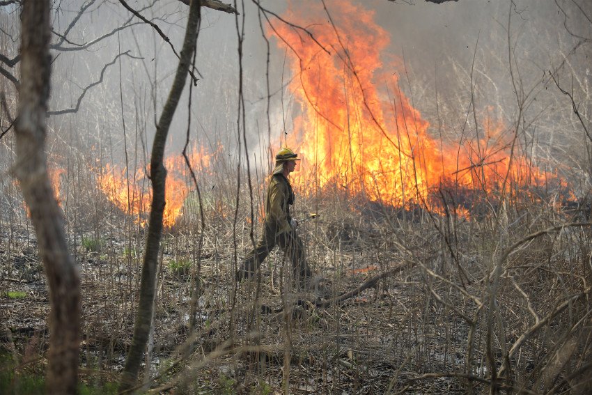 A member of a fire burn crew monitors an area burn at the Asylum Lake preserve.
