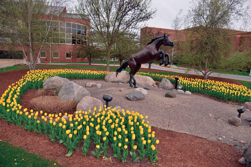 Outdoor campus photo of the bronco statue