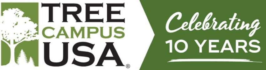 Logo, Tree Campus USA Celebrating 10 Years