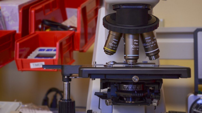 photo of laboratory equipment