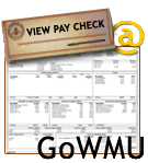 View pay check