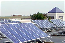 Photo of WMU solar panels.
