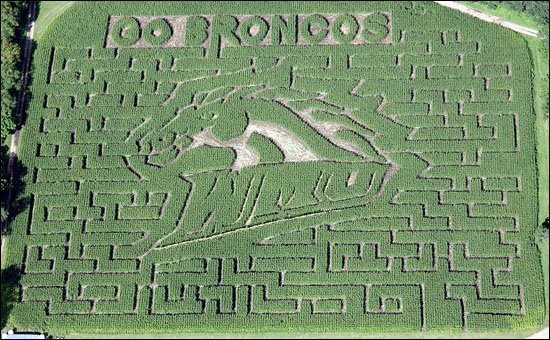 Photo of WMU Bronco logo and cornfield maze at Gull Meadow Farms.