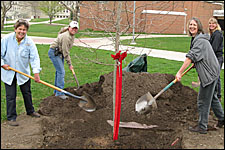 Photo of Beverly Houseman, Mayela Cameron, Nancy Sluss, Tammy Kiel planting tree.